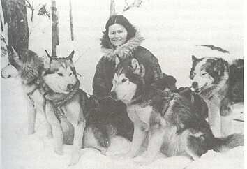 Из открытых источников. 