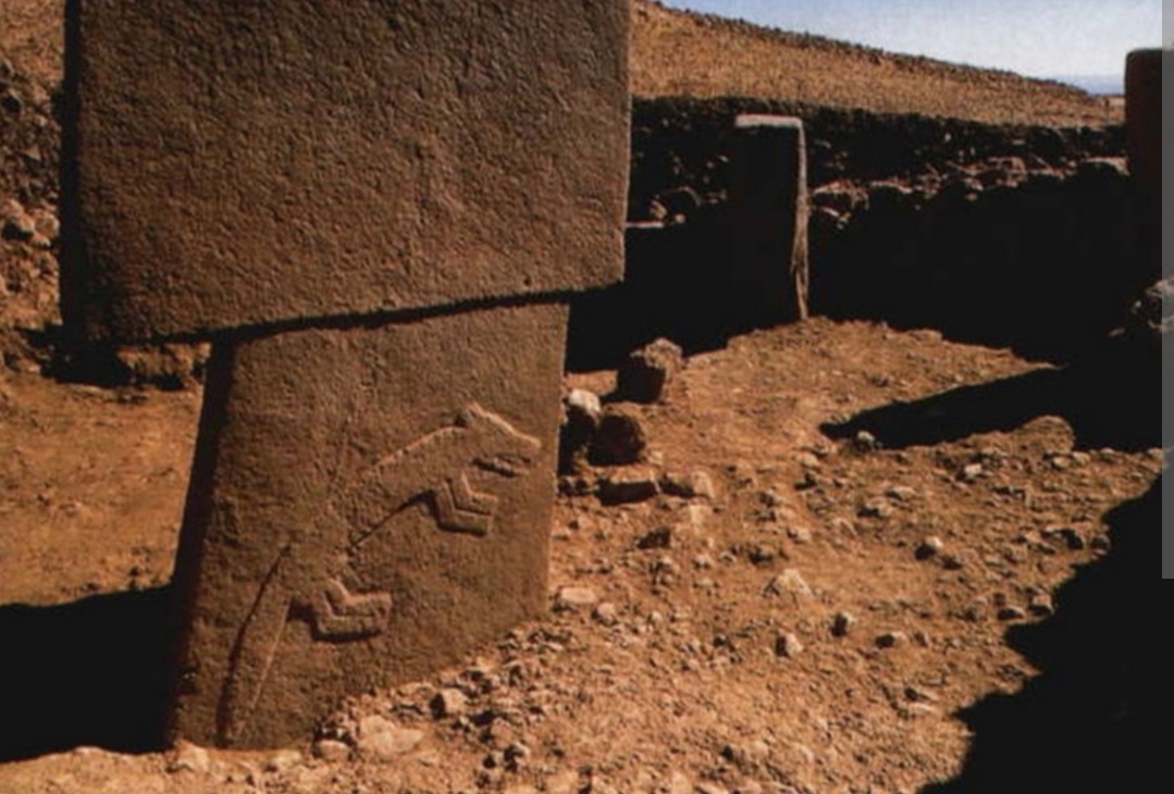 Столб с изображением лисы — одного из 15 видов животных Гёбекли-Тепе. Обратите внимание на качество резьбы — это работа мастеров, а не примитивных кочевников.