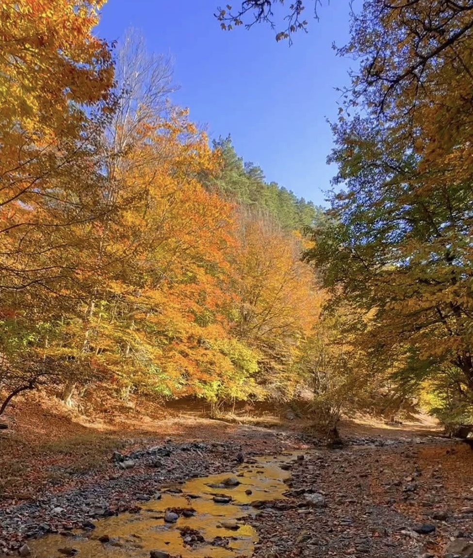 Национальный парк «Крымский»