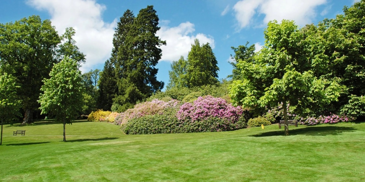 Гармоничный сад - результат кропотливого труда и знаний. 