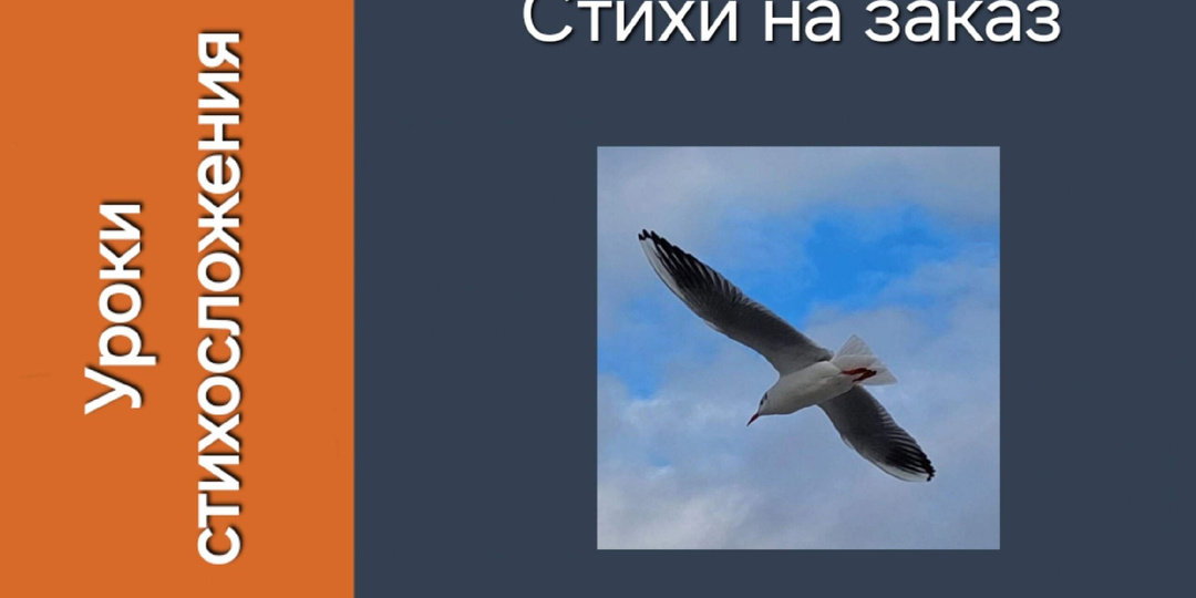 Стихи на заказ