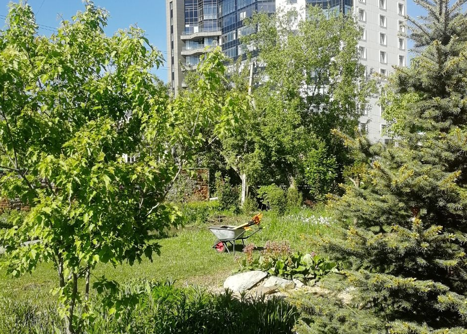     Фото: ВК-группа Сада Нурова / vk.ru/sadnurova