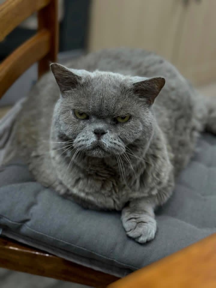 иллюстрация из яндекс картинки.