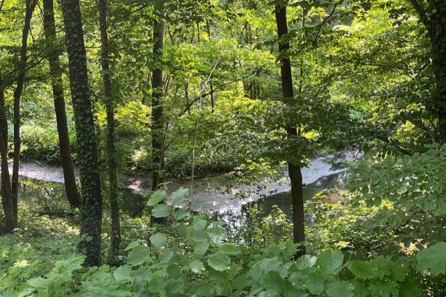   Фото из архива Калининград.Ru