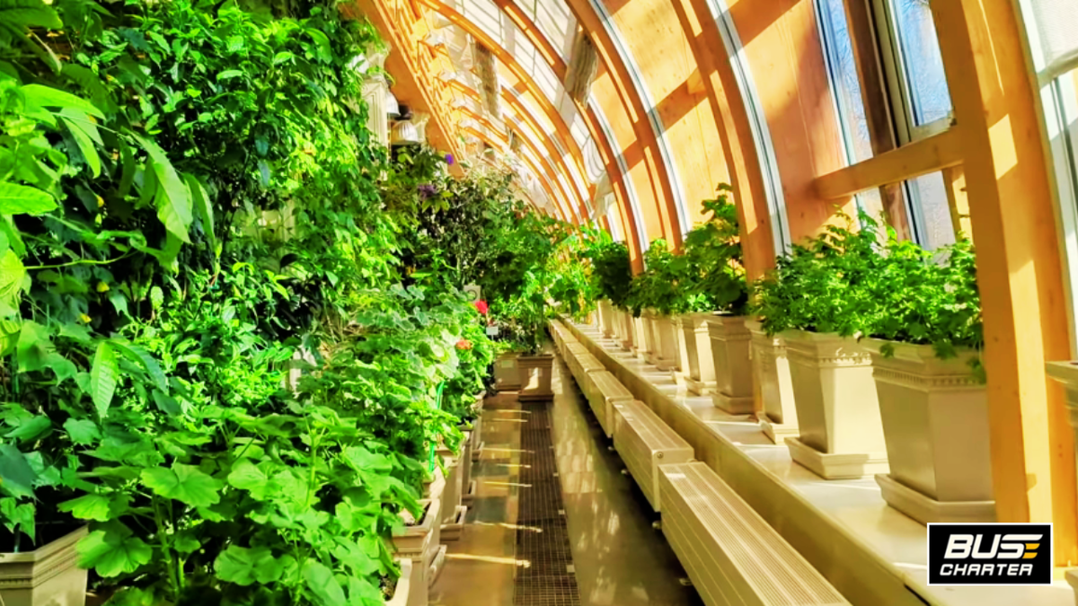 Москва что посмотреть, Бюджетный тур в Москву, Недорогие туры по России