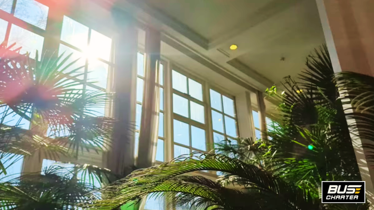 Экскурсия для школьников в Москве, Автобусные туры из Москвы