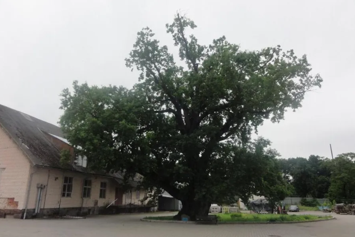 Тур в Беларусь из Москвы, Куда поехать отдохнуть из Москвы. Фото взято из Интернета