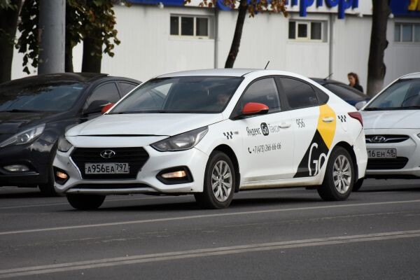    Фото: Александр Зинченко