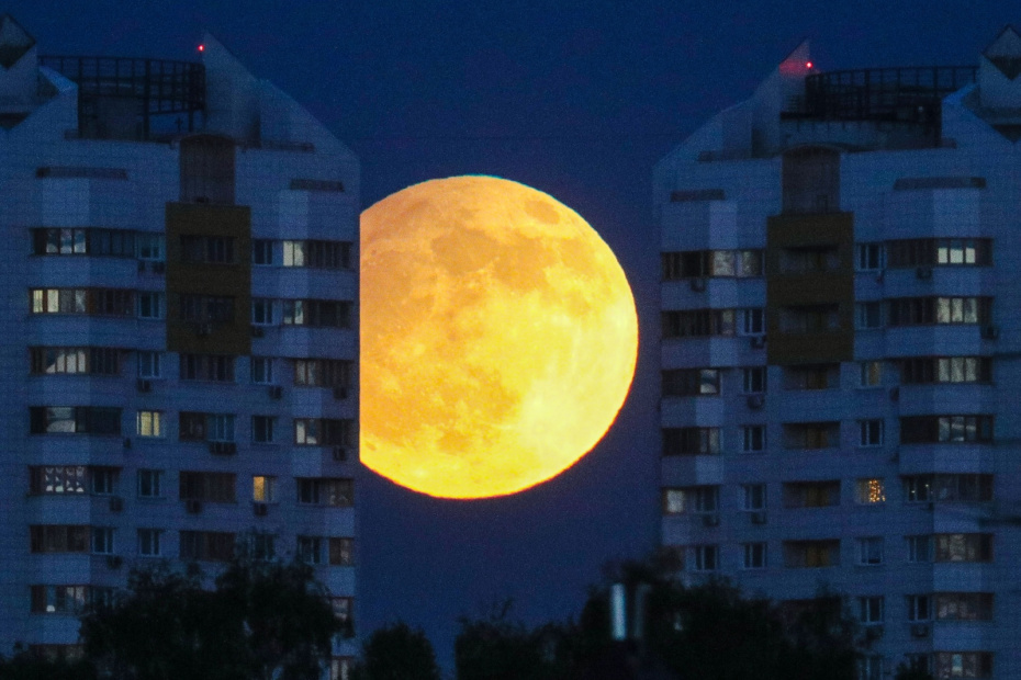    Сергей Булкин/NEWS.ru