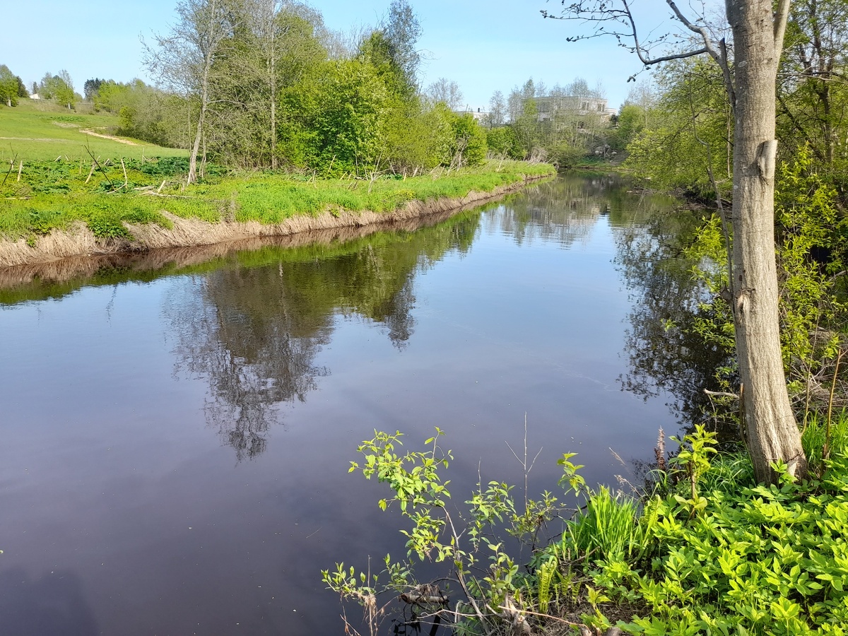 Река Охта весной в Ленинградской области. Красота. ФОТО АВТОРА