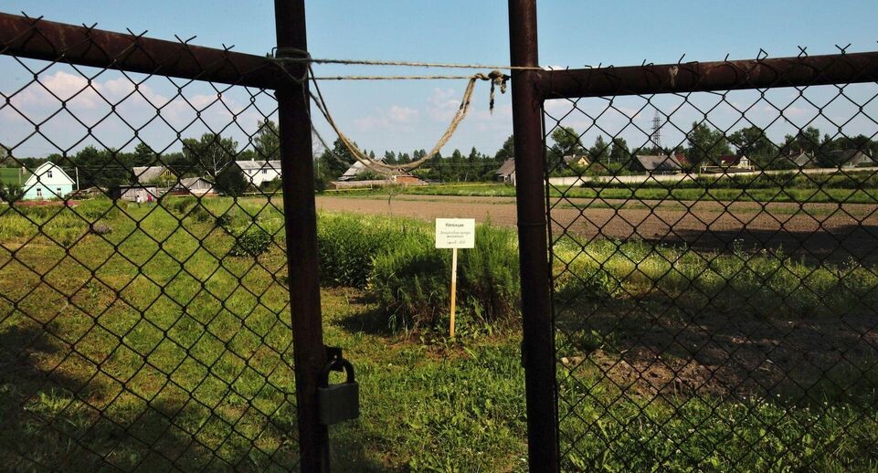    РИА «Новости»