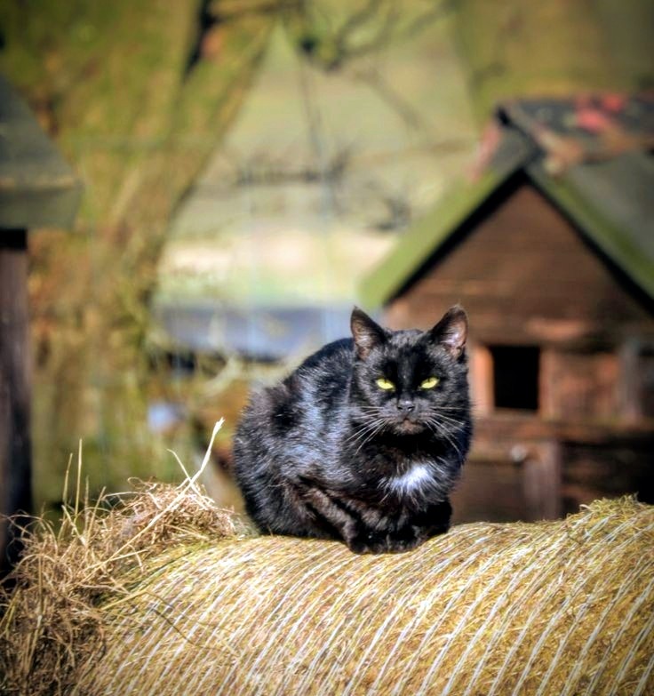 Источник: Pinterest Ru