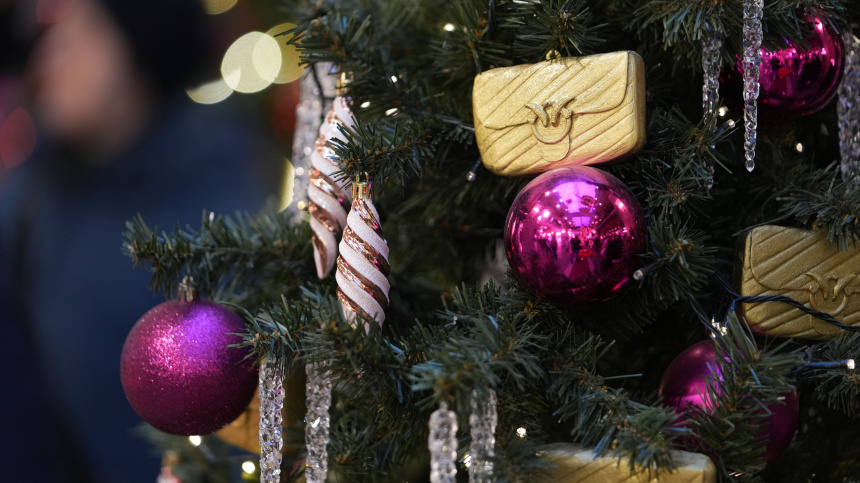    Фото: ИЗВЕСТИЯ/Дмитрий Коротаев