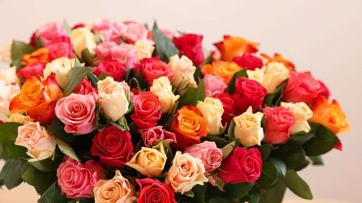    Фото: New Africa / Shutterstock / Fotodom