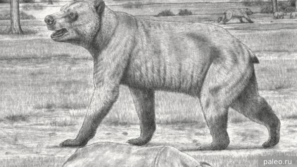     Фото: paleo.ru   
 Текст: Мария Иванова