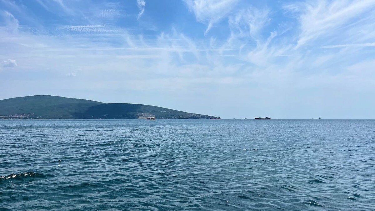    Фото: телеканал «Краснодар»