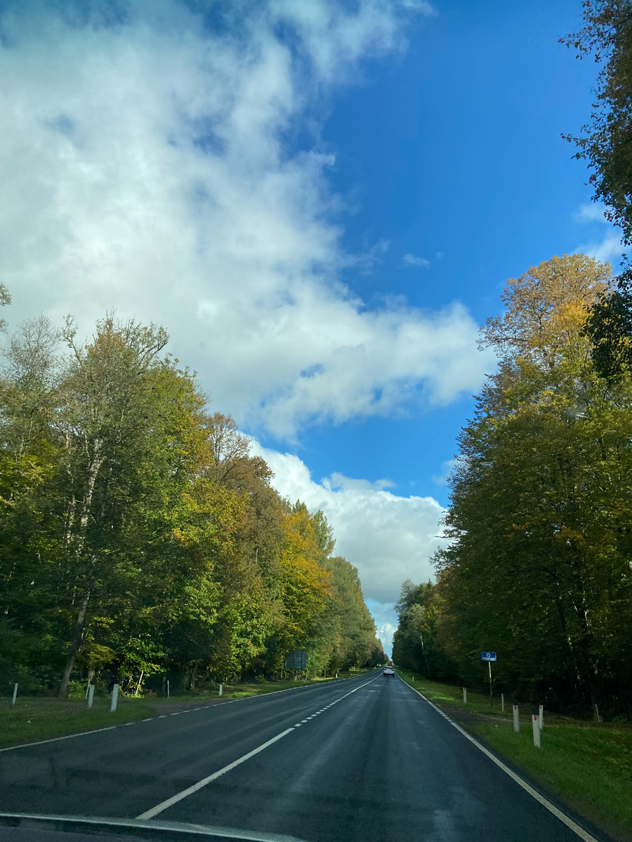Фотопрогрулка по Советску (Калининградская обл). Фото автора блога дочь Пелевина про Путешествия