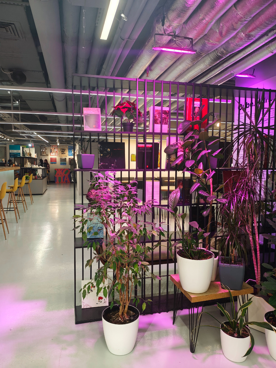 Тверская улица, 3. Отель Carlton, -2 этаж - пространство Cube Moscow.