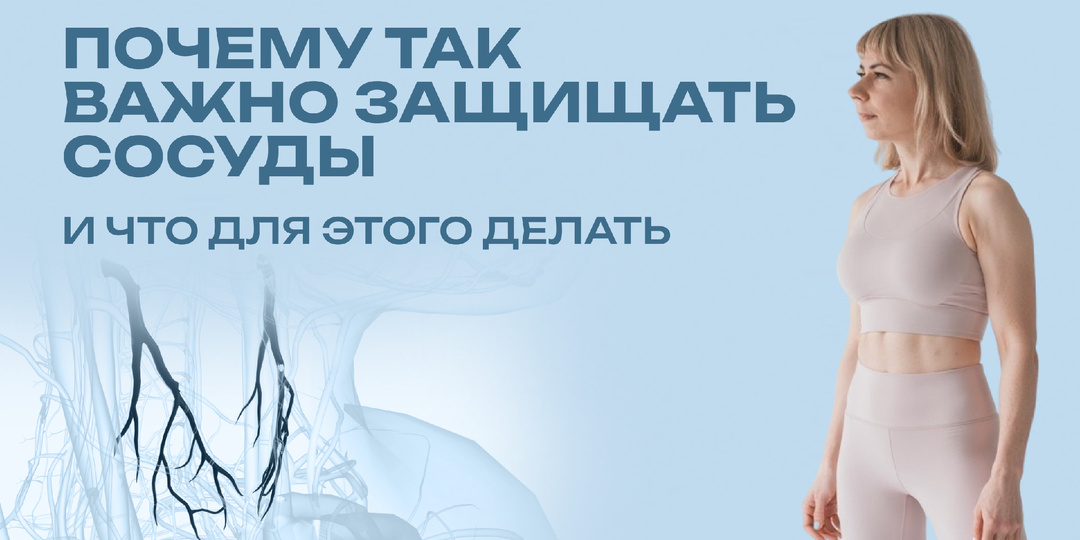 Почему так важно защищать сосуды и что для этого делать?
