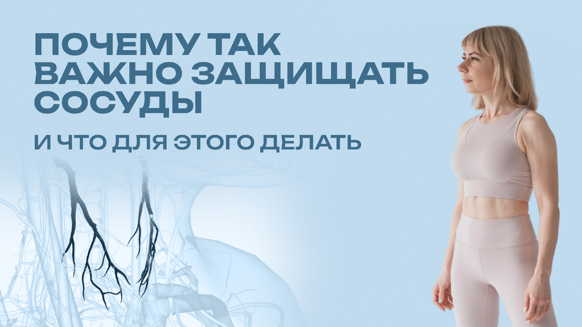 Почему важно защищать сосуды и что полезно для сосудов