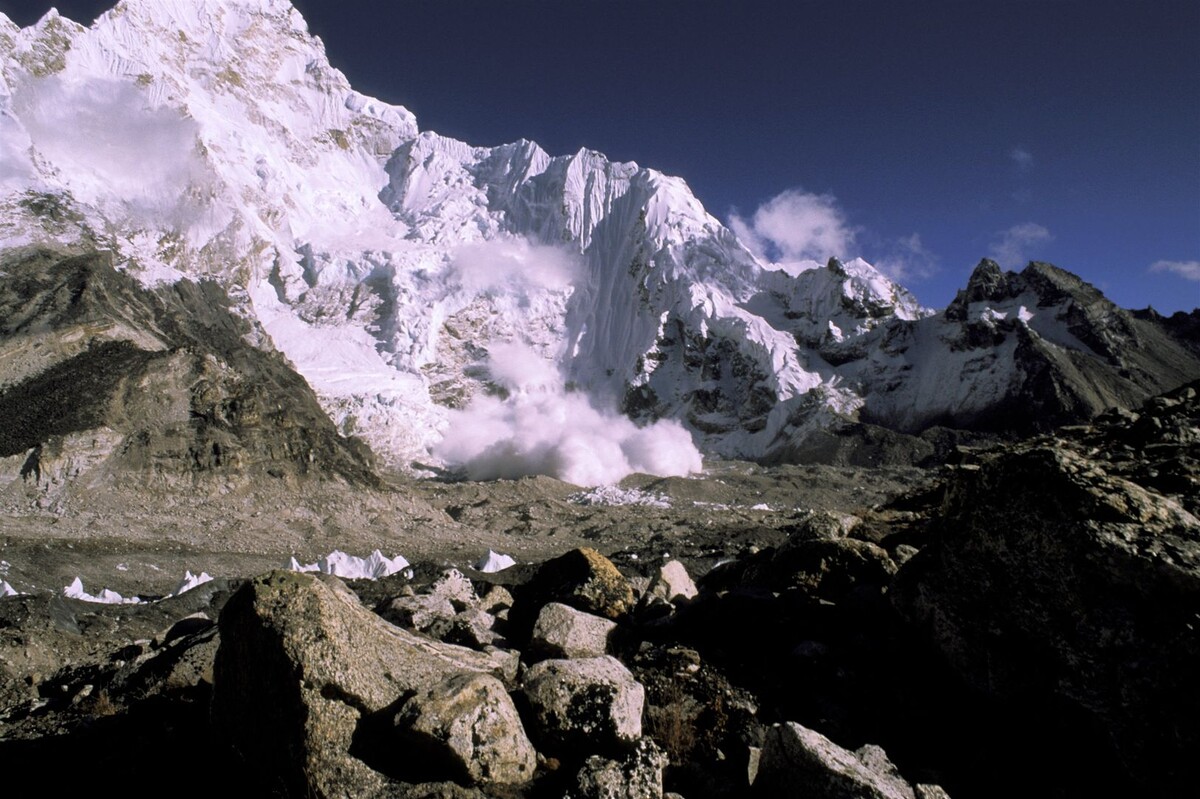     / Источник: © Global Look Press