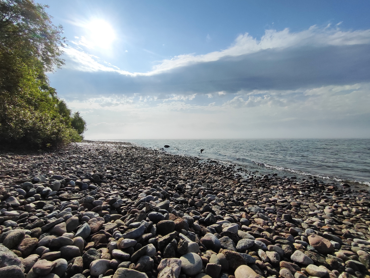 Солнечное утро