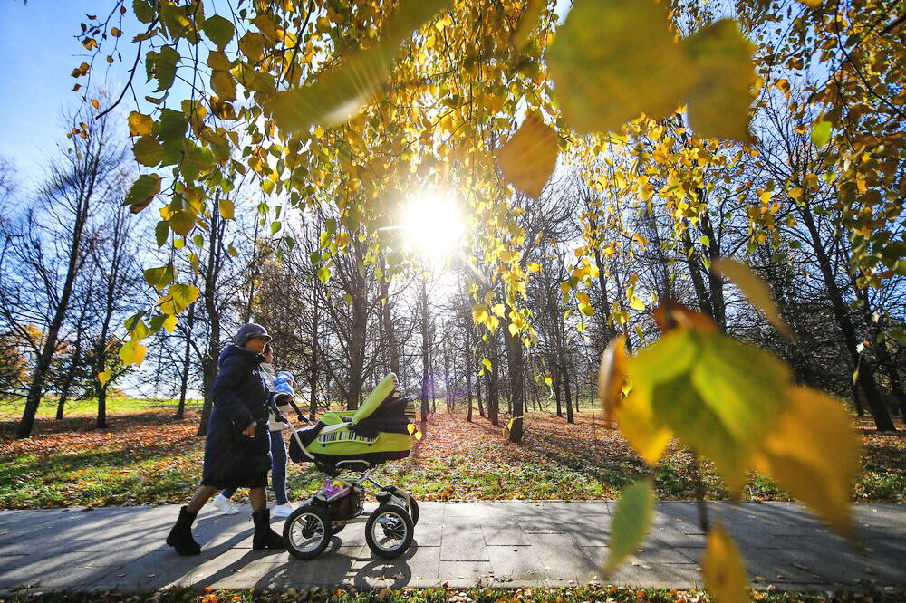    ©Агентство городских новостей "Москва"