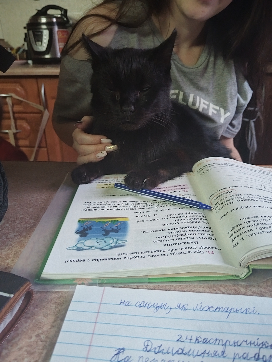 Шмяк делает с нами уроки