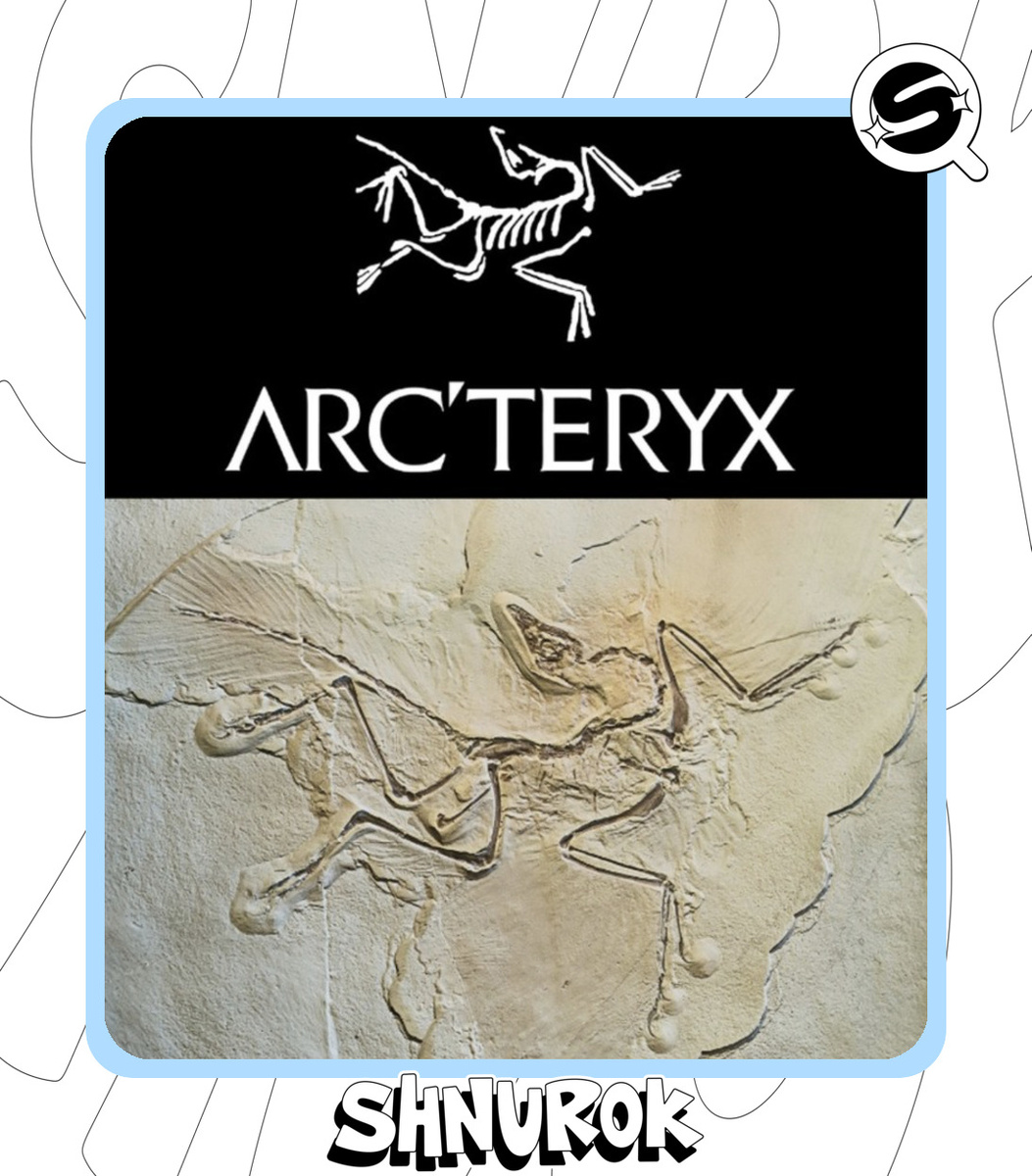 Arc’teryx прозванный в народе «мертвой птичкой»