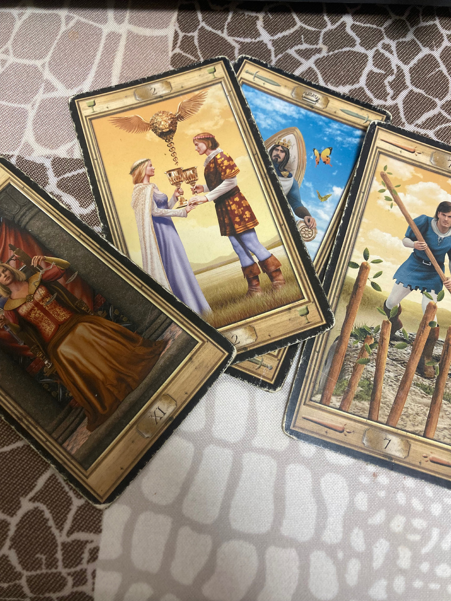 Король мечей-холодная голова