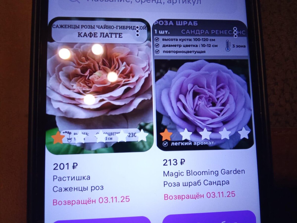 фото автора из кабинета ВБ