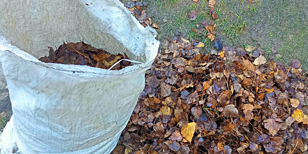Удобряем почву опавшими листьями.