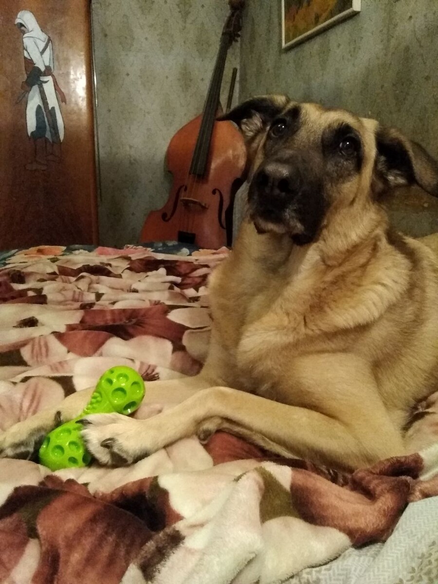 Доброго утречка!