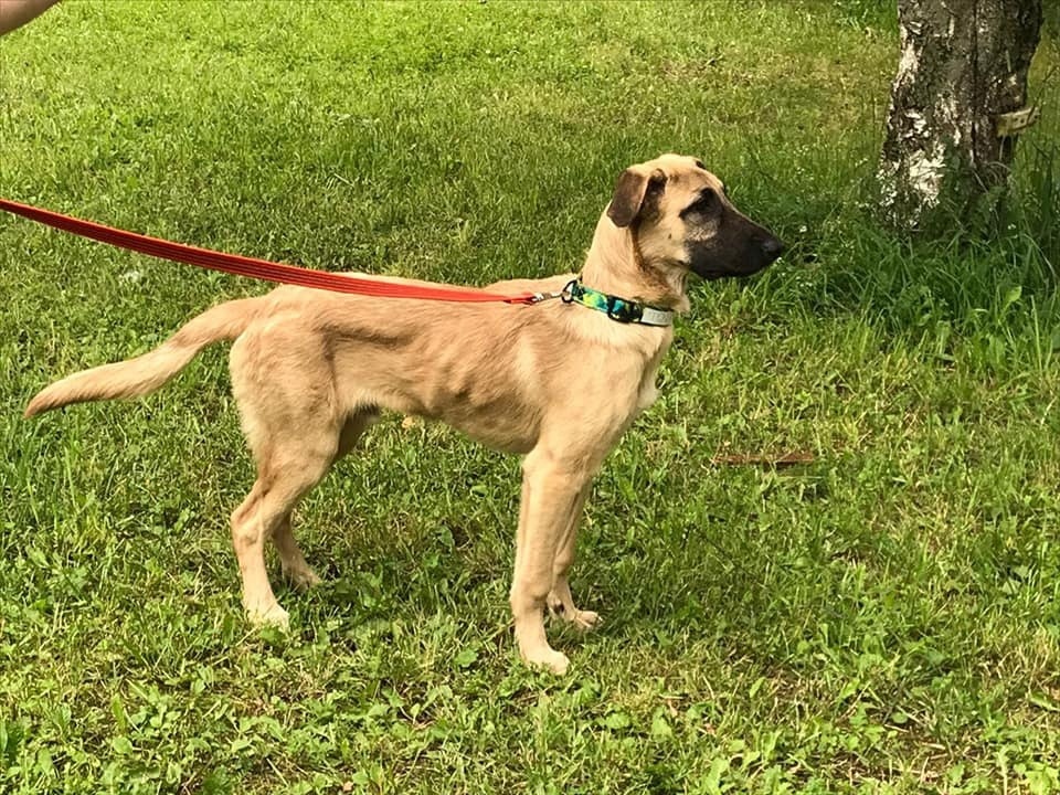 Первые фото