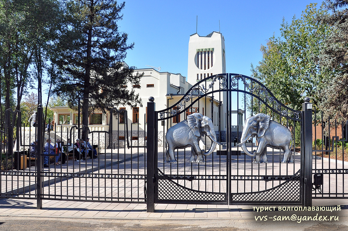 Фото 27.09.2024.