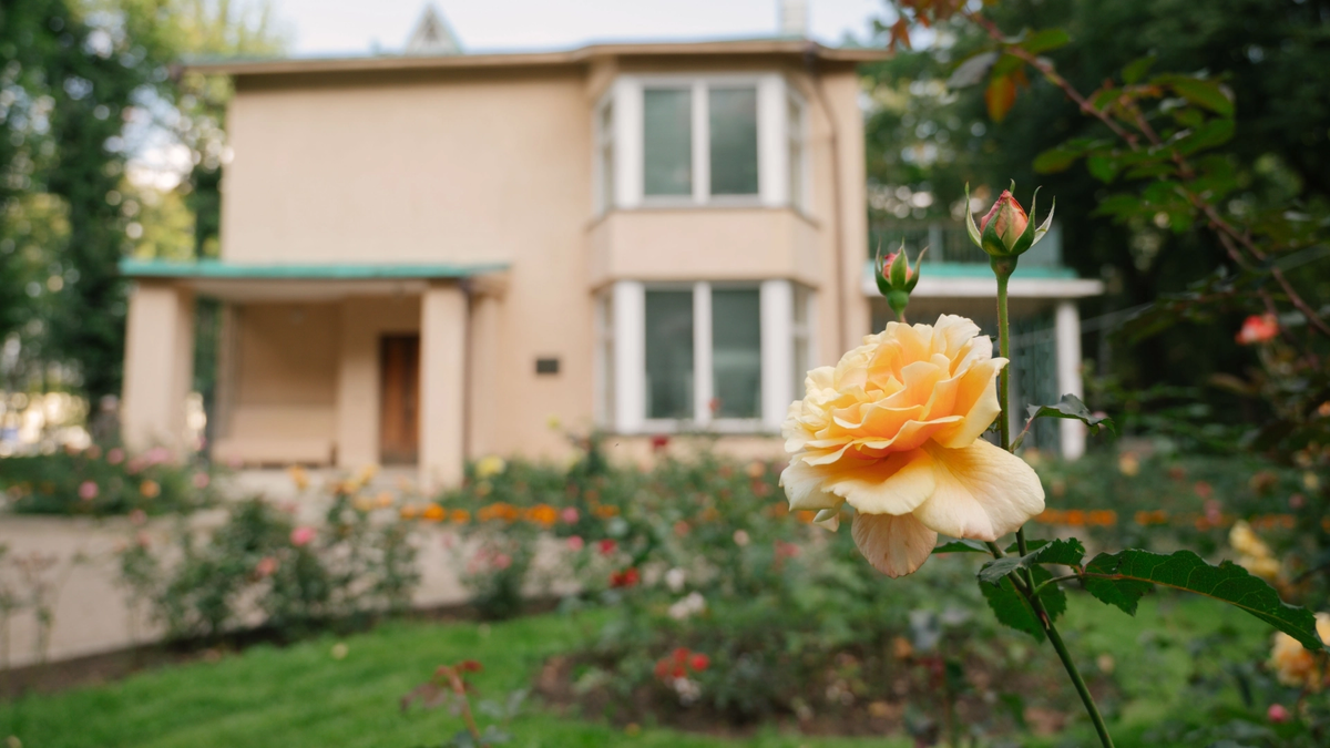 Фото из открытых источников интернет