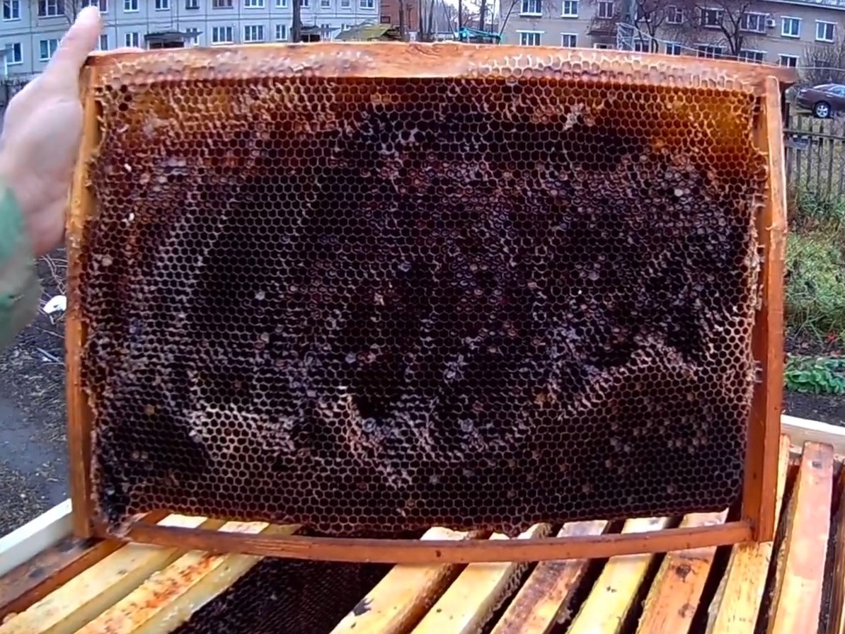 просто жуть какая чёрная!