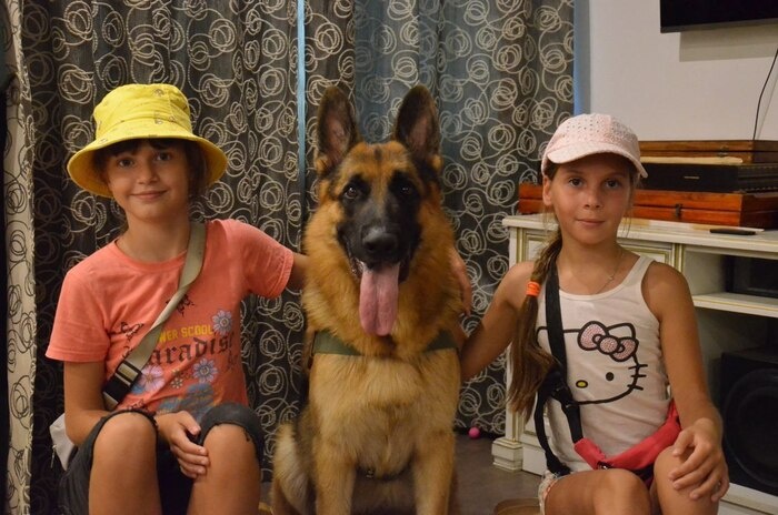 Листайте вправо, чтобы увидеть больше изображений