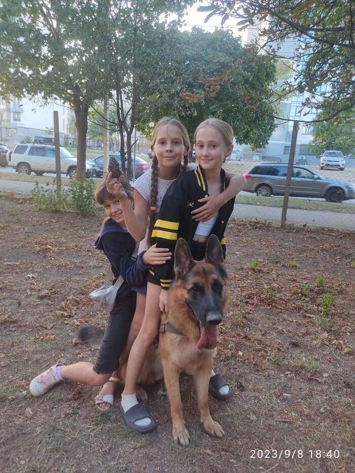 Листайте вправо, чтобы увидеть больше изображений