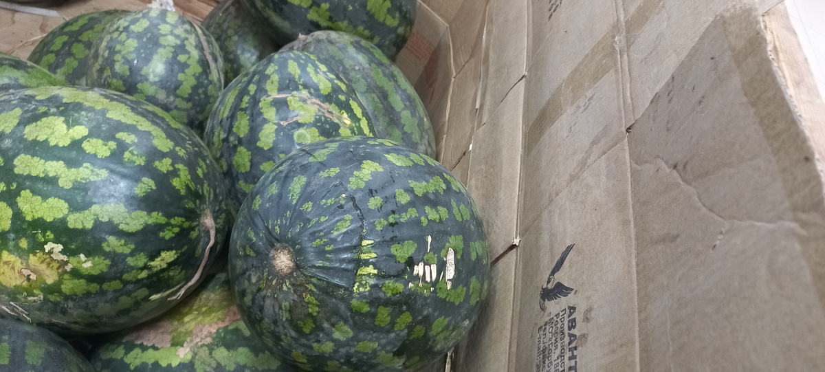 Магазин продаёт арбузы