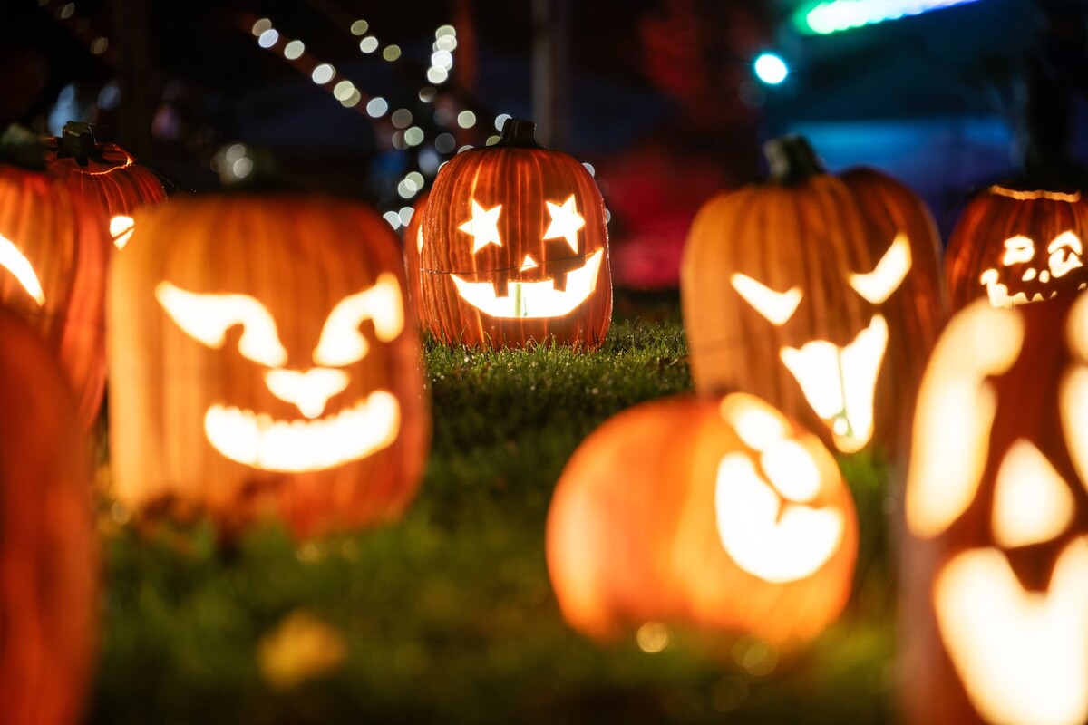     / Источник: © Global Look Press