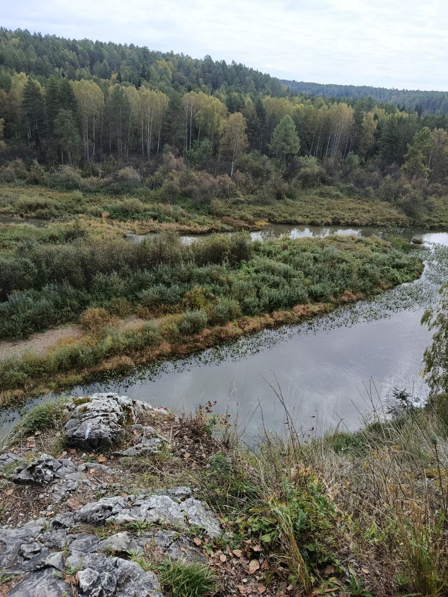 Шли вдоль реки
