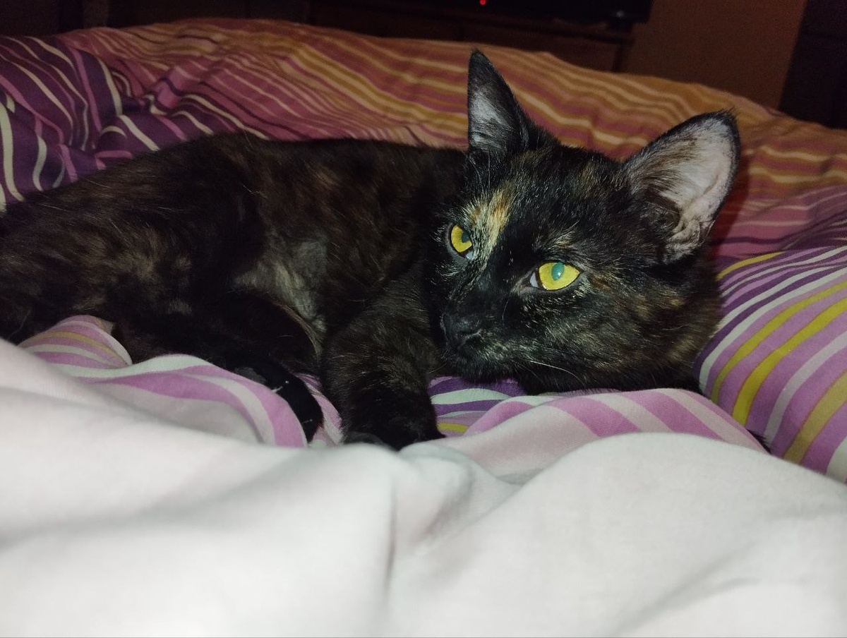 Спать пора. а ты не спишь!