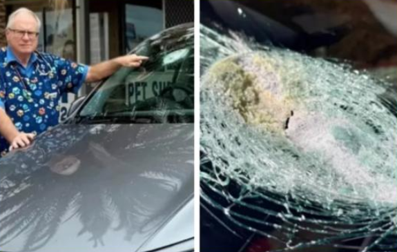 Ветеринар Эндрю Мелвилл-Смит и его "новенькая" Tesla Model Y