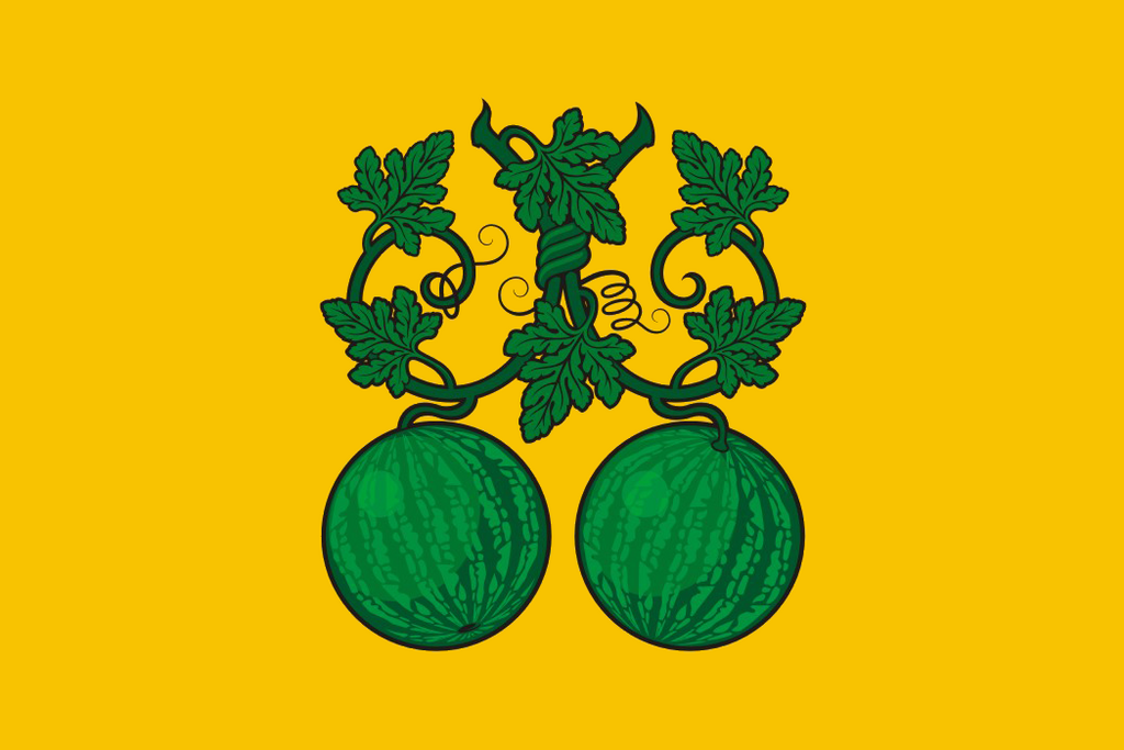 Флаг города