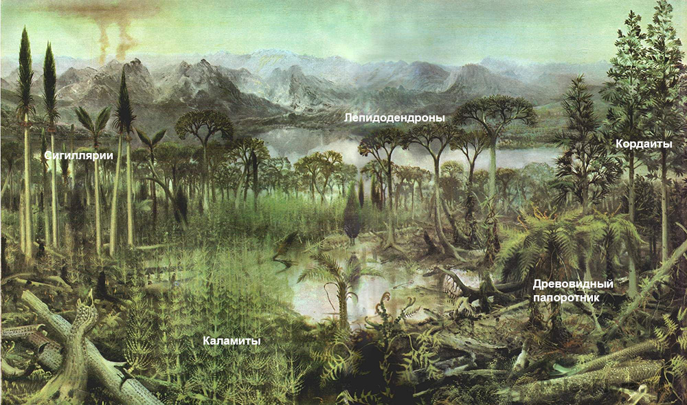 Каменноугольный лес на картине З. Буриана (Реконструкция)