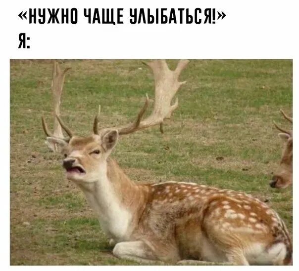 Источник: соцсети