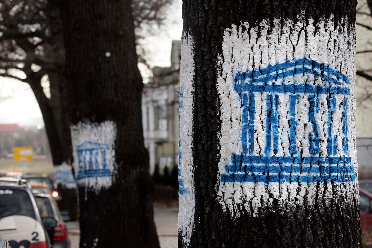     / Источник: © Global Look Press