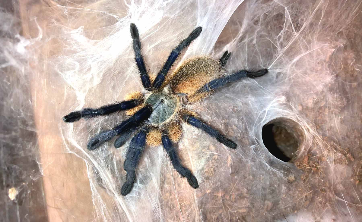 Фото из Интернета