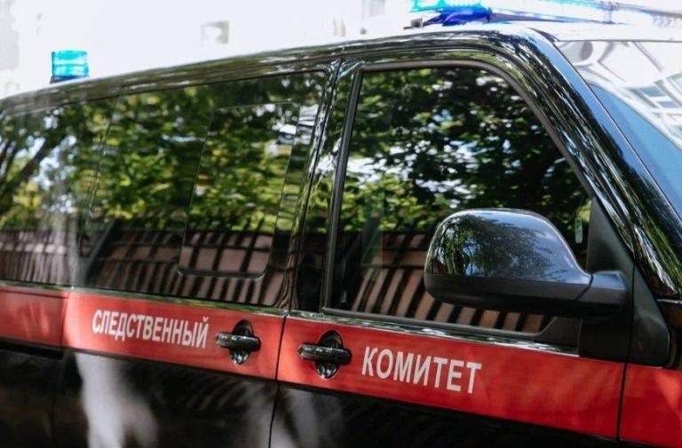    Фото: СК Москвы Илья Федоров